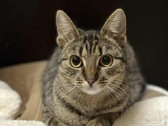 Konin. Czekają, może właśnie na Ciebie