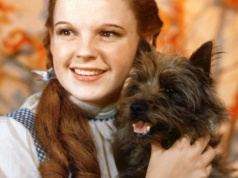 Smutne dzieciństwo Judy Garland. Nazywali ją "grubą małą świnią z warkoczami"