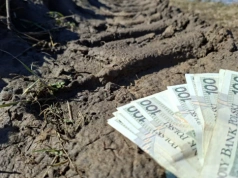 Silosy, dopłaty, azbest. Te terminy na dopłaty z ARiMR trzeba pilnować