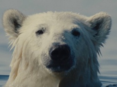 W poszukiwaniu wielkiego kina. Konkurs Główny 23. MDAG