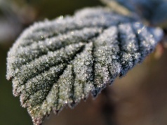 Alert dla większości kraju. Nocą temperatura spadnie nawet do -5°C