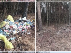 Jaworzno walczy z zaśmiecaniem. Liczne interwencje straży miejskiej