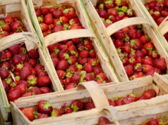 Na bazarach już się zaczęło. Wiosenna fala oszustw