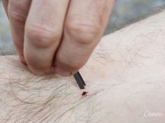 Kleszcze, które biegną do człowieka, pojawiły się w Polsce