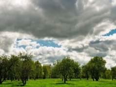 Koniec tygodnia za zmienną pogodą. Będzie cieplej, ale z opadami, silnym wiatrem i przymrozkami