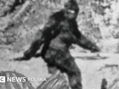 Co ujawniają wywiady ze 160 tropicielami Wielkiej Stopy?