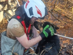 Strażacy z OSP Radowo Małe w ostatniej chwili uratowali psy