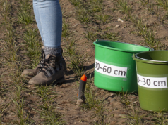 Program azotanowy: kto musi zrobić plan nawożenia azotem na podstawie badań gleby?