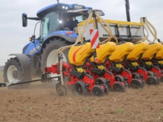 Ten błąd przy siewie kukurydzy kosztuje nawet 280 zł/ha. Wielu go ignoruje