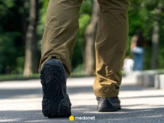 Te kleszcze budzą niepokój w Polsce. Ekspertka: "nasze" kleszcze to w porównaniu z nimi prawdziwe leniuszki