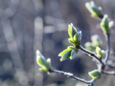 W nocy na minusie. IMGW ostrzega aż 10 województw