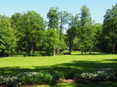 Willa Langera odzyska blask. Jaworze rusza z rewitalizacją zabytku