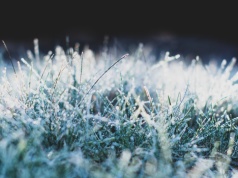 Nocne spadki temperatur na Pomorzu. Meteorolodzy wydali ostrzeżenie