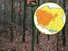 Rośnie zagrożenie w polskich lasach. Wszystko widać na mapach