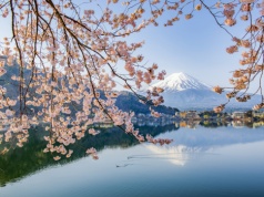Budząca się potęga pod dnem oceanu. Gigantyczna kaldera Kikai znów wypełnia się magmą