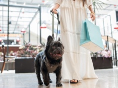 Posnania stawia na pełen komfort wizyt z czworonogami