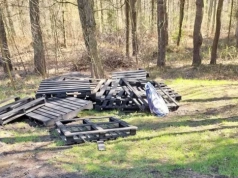 Zamiast pierwiosnków wszędzie śmieci