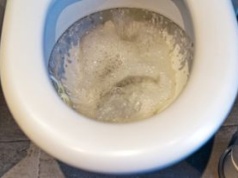 Wrzuć tabletkę na noc. Do rana "wyżre" cały kamień