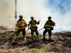 Nowe moduły GFFF wkrótce w gotowości