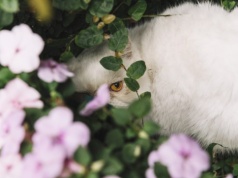 Pogoda na poniedziałek | W dzień coraz cieplej, w nocy niewykluczony mróz
