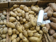 Tani prąd z ziemniaków. Idealny patent dla polskich rolników