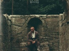 THE WEIGHT OF THE WOODS