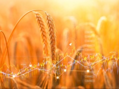 Echem kryzysu paliwowego może być kryzys żywnościowy. Czeka nas spożywcza inflacja?