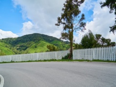 Płot pod lupą urzędników. Nowa opłata coraz bliżej?