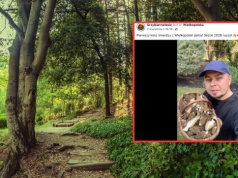 Grzybiarz pokazał, ile grzybów zebrał w kwietniu. "Mój dzień był udany"