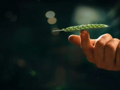 DAXUR® idealnie wyważone KORZYŚCI