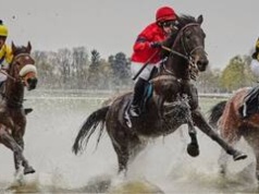 Sezon wyścigowy na Partynicach rozpoczęty!