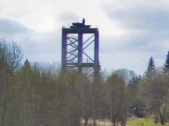 Rosną jak grzyby po deszczu. Mają chronić rezydencję Putina