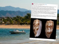 Na egipskiej plaży znalazł piękną muszlę. "Nigdy nie popełniajcie tego błędu"