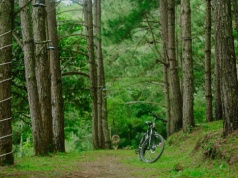 Ekologiczne zwiedzanie Bielska i okolic - trekking, gravel czy MTB?