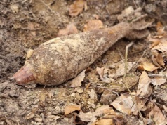 Śmiertelne niebezpieczeństwo ukryte w ziemi. Granat był tuż przy domu