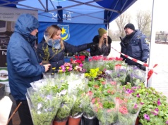 Masz elektroodpady? Wymień je na sadzonki!