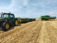 Ceny zbóż paszowych 2026. Różnice sięgają nawet 180 zł na tonie