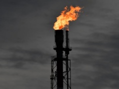 Ropa „od ręki” na wagę złota. Niespotykany do tej pory rozjazd cen