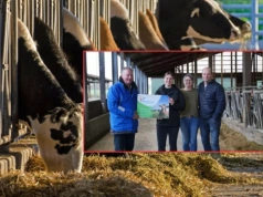 Rolnik zmienił mleczarnię. "Teraz to oni zabiegają o nasze mleko"