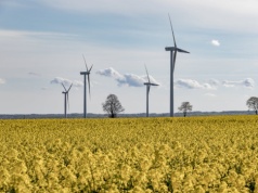 Nawet 6 mld zł znika z rynku OZE. Problemem nie jest technologia, tylko biurokracja