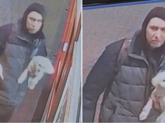 PILNE! Grodzisk Wlkp.: Zabrał pieska i zniknął. Policja szuka sprawcy