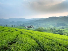 Polscy rolnicy - wizjonerzy sądzą technologię. Plony to nagroda od Huawei