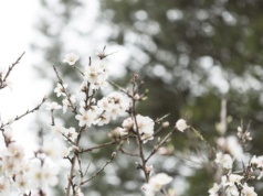 Wiosenny wtorek w Łódzkiem. Może padać deszcz