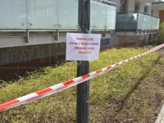 Locha urodziła pod balkonem na jednym z osiedli na Białołęce. Łowczy odgrodził teren taśmą