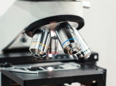 Mikroalgi wspomogą przetwarzanie odpadów? Pomysł studentki z Krakowa!