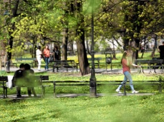 Wtorek z wiosną tylko dla wybranych. W tym regionie termometry wskażą 18 stopni