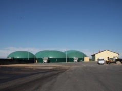 Duży potencjał, małe tempo. Co blokuje rozwój biogazu w Polsce?