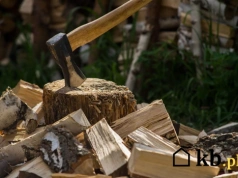 Mało kto zna to drewno. Tanie, ładnie się pali, mało dymi, a kalorycznością dorównuje bukowi i grabowi