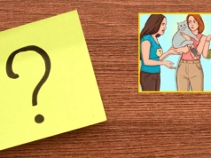 Która kobieta jest właścicielką kota? Obrazkowy test na inteligencję