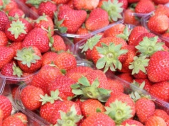 Klapton 33 WG — nie tylko fungicyd dla producentów owoców i warzyw